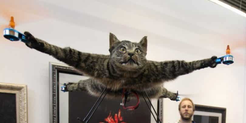 Cat Drone: Orvillecopter, The Drone that Shook The World