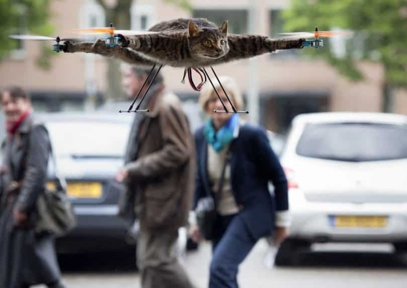Cat Drone: Orvillecopter, The Drone that Shook The World